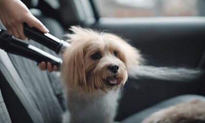 cleaning pet hair easily