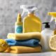 essential home cleaning agents