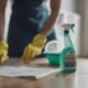 home cleaning regulations guide