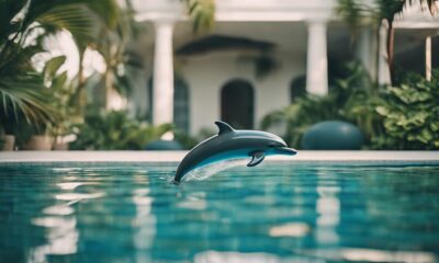 top dolphin pool vacuums