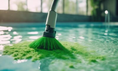 top pool vacuums for algae