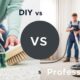 diy or professional carpet cleaning