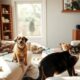 pet friendly home cleaning tips