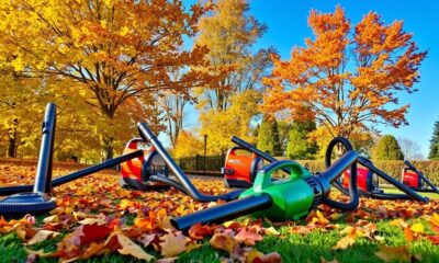 top leaf vacuums 2024