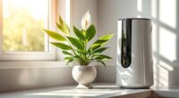 air purifiers enhance plants