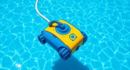 affordable pool cleaner picks