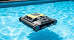 affordable pool cleaning solutions