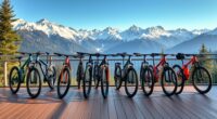 luxury mountain bike selection