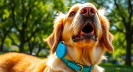 top pet gps devices