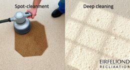 comparing spot and deep carpet cleaning