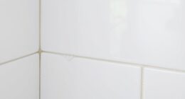 effective shower grout cleaning