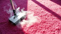 top carpet steam cleaners