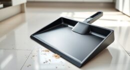 top central vacuum dustpans