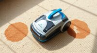 top portable carpet cleaners
