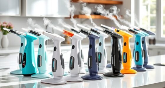 top portable steam cleaning options