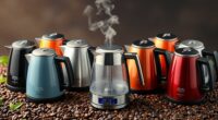 top temperature controlled electric kettles