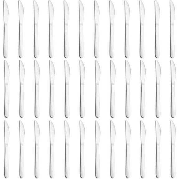 36-Piece Stainless Steel Butter Knives Set