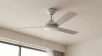 ceiling fan dust prevention