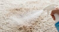 common carpet deodorizing errors