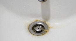 daily bathroom cleaning routine