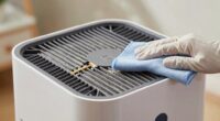 regular air purifier cleaning