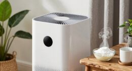 clean deodorize maintain regularly