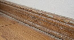 dust accumulates on baseboards