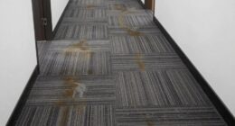 high foot traffic stains
