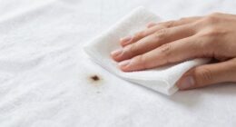 immediate cleaning prevents damage