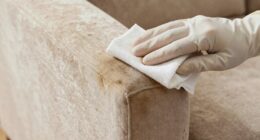initial upholstery stain treatment