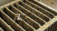 old filters worsen allergies