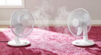optimal carpet drying method