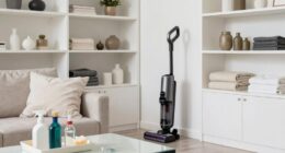 perfectionist cleaning exhaustion