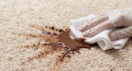 remove chocolate from carpet