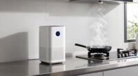 strategic air purifier placement