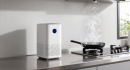 strategic air purifier placement