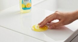 test cleaner before use