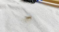 treat blot repeat prevent