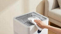 10 Best Air Purifiers for Dust and Allergies in 2026