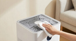 10 Best Air Purifiers for Dust and Allergies in 2026