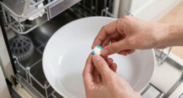 10 Best Dishwasher Cleaner Tablets in 2026