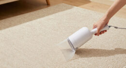 12 Best Drying Fans for Carpet Cleaning in 2026