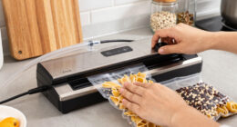 13 Best Food Vacuum Sealers for Bulk Storage in 2026
