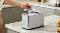 14 Best Premium Portable Ice Makers in 2026