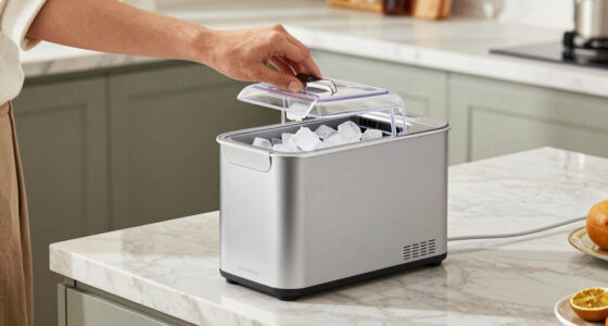 14 Best Premium Portable Ice Makers in 2026