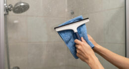 14 Best Shower Glass Cleaning Tools in 2026
