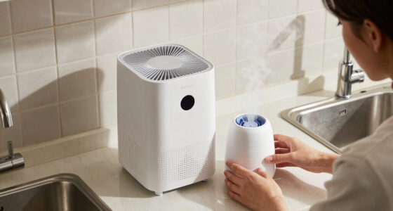 7 Best Air Purifier And Humidifier Combos in 2026