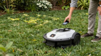 7 Best Robot Lawn Mowers for Medium Yards in 2026