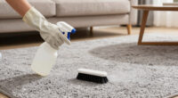 8 Best Carpet Cleaning Solutions For Machines In 2026