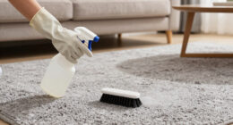 8 Best Carpet Cleaning Solutions For Machines In 2026